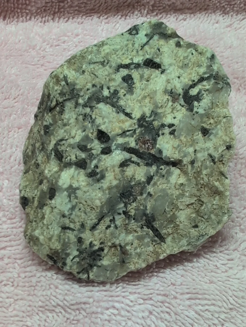 Black Tourmaline In Quartz #4